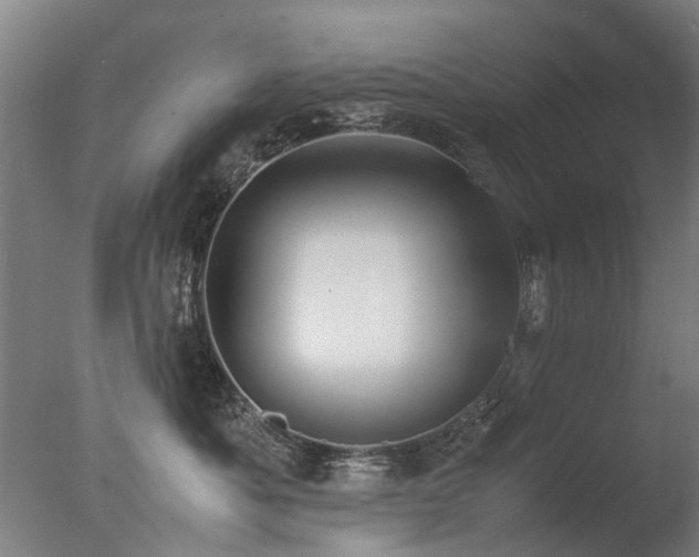 X0000078020525200610271237