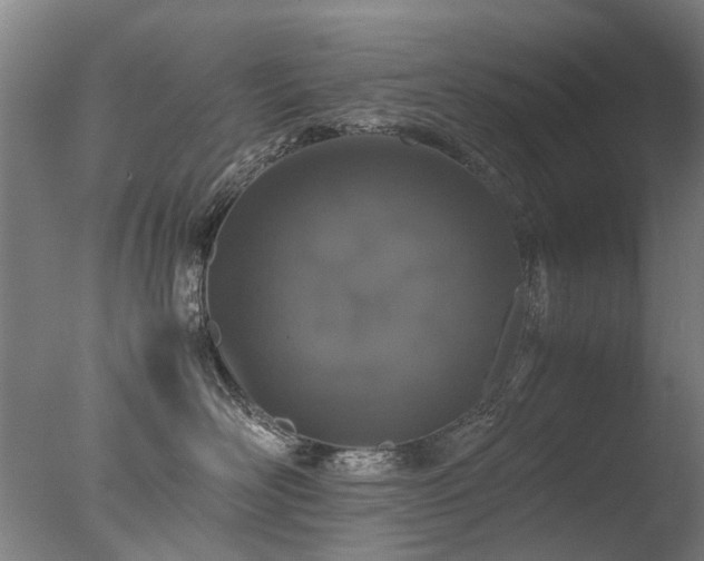 X0000078020526200610271237