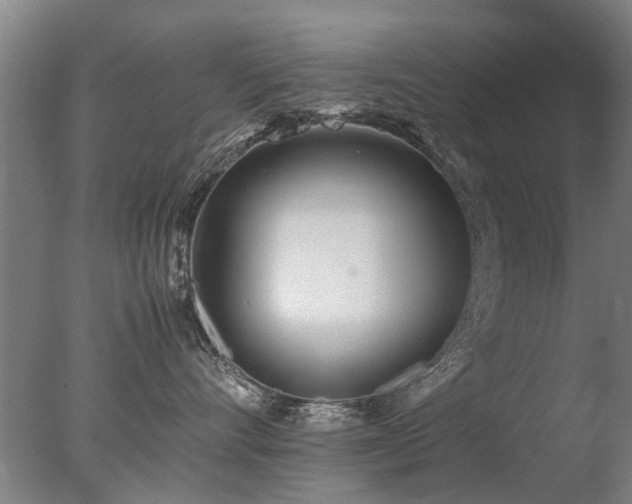 X0000078020528200610271237