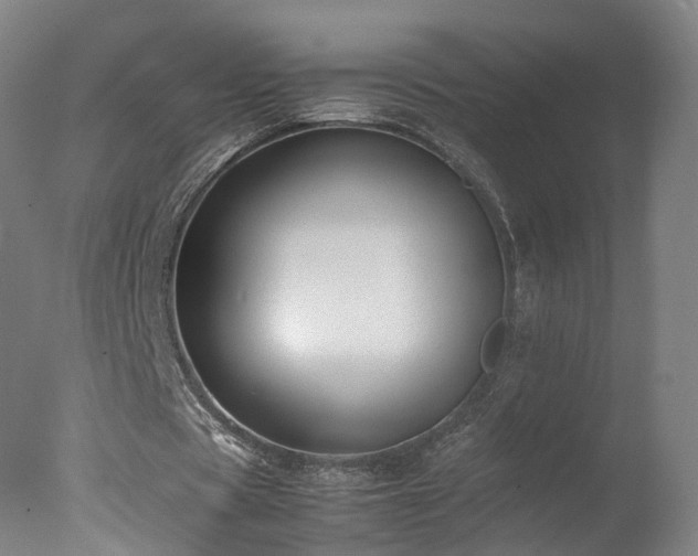 X0000078020529200610271236