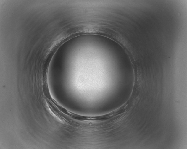 X0000078020530200610271236