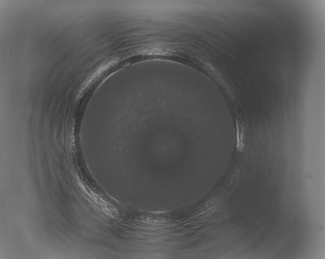 X0000078020531200610271236