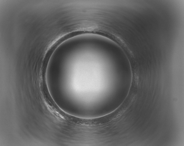 X0000078020532200610271236