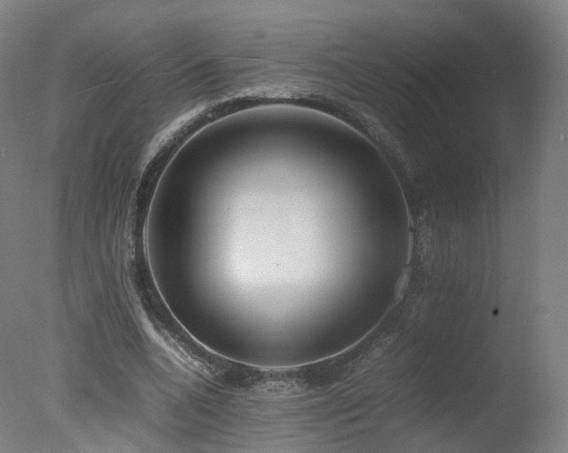 X0000078020536200610271236