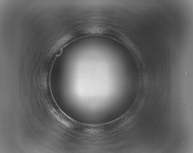 X0000078020537200610271236