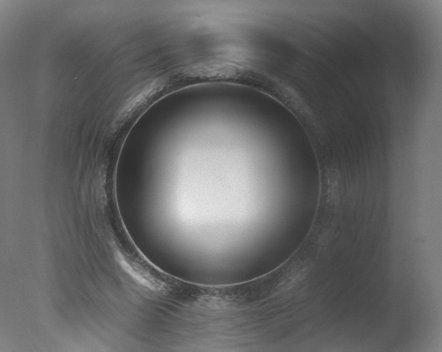 X0000078020538200610271236