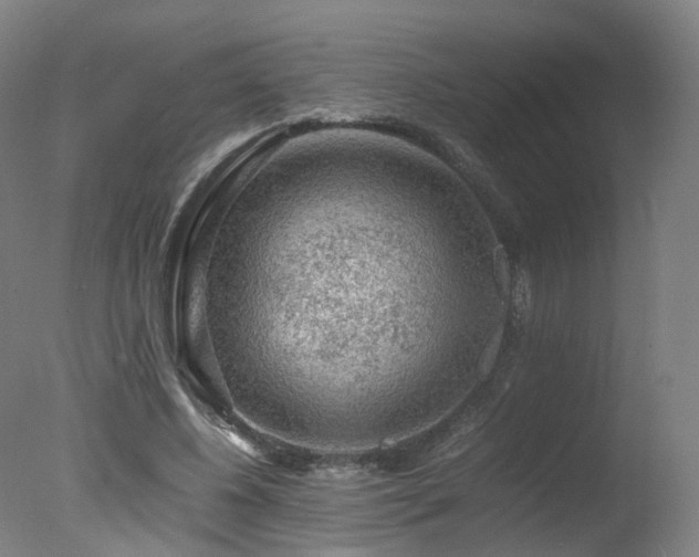 X0000078020540200610271236