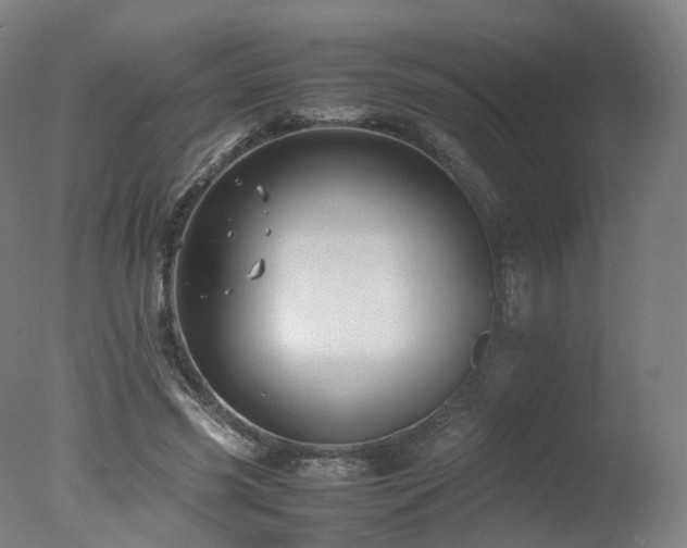 X0000078020541200610271236