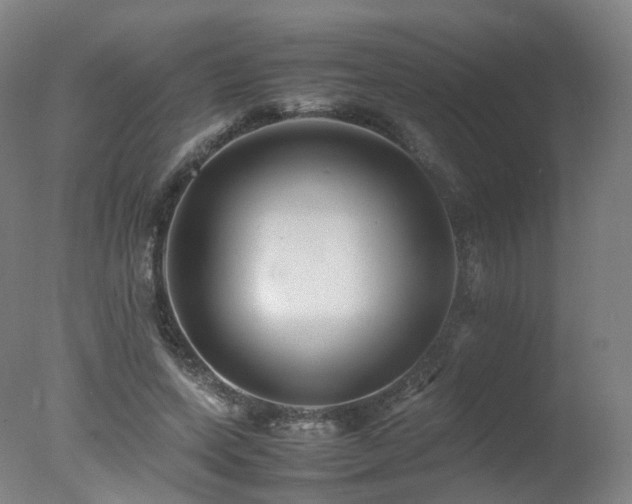 X0000078020543200610271236