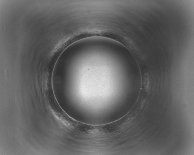 X0000078020544200610271236