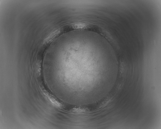 X0000078020545200610271236