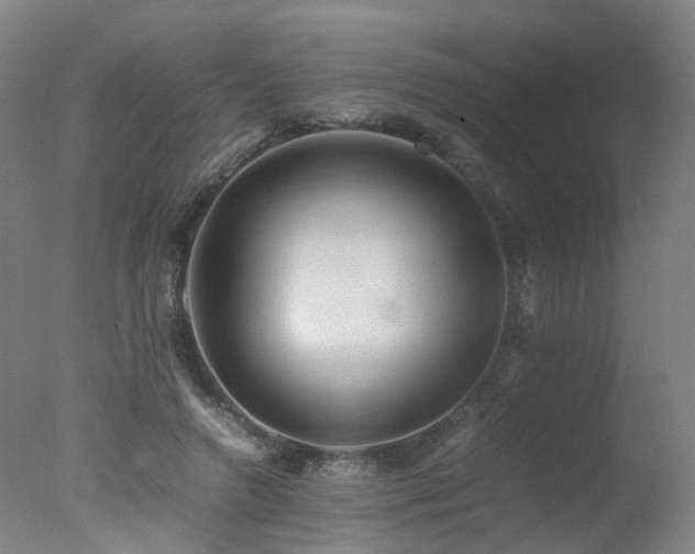 X0000078020546200610271236