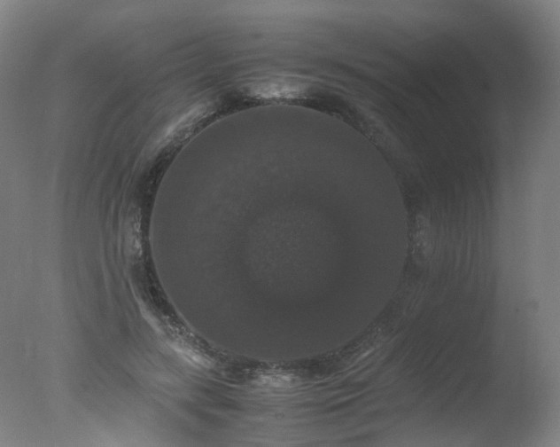 X0000078020547200610271236