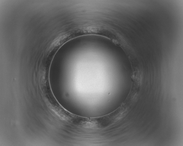 X0000078020548200610271236