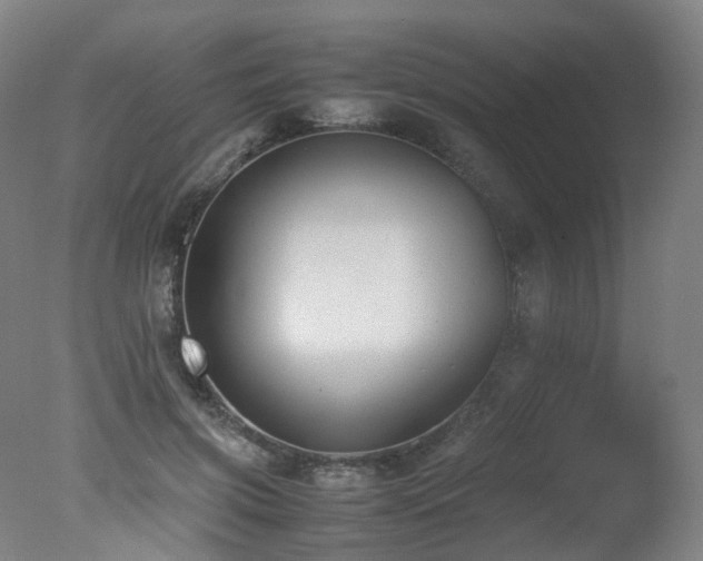 X0000078020549200610271236