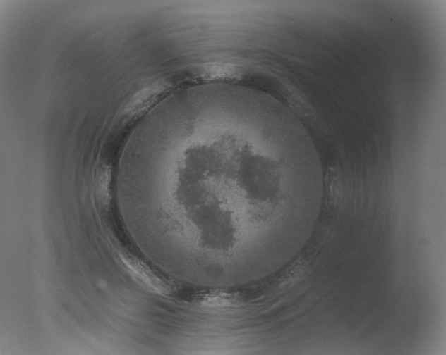 X0000078020550200610271236