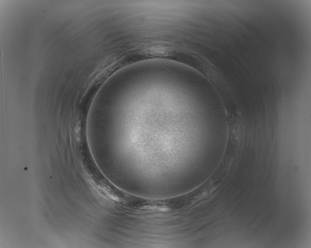 X0000078020552200610271236