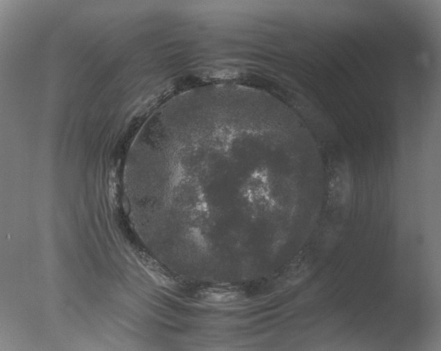 X0000078020555200610271237