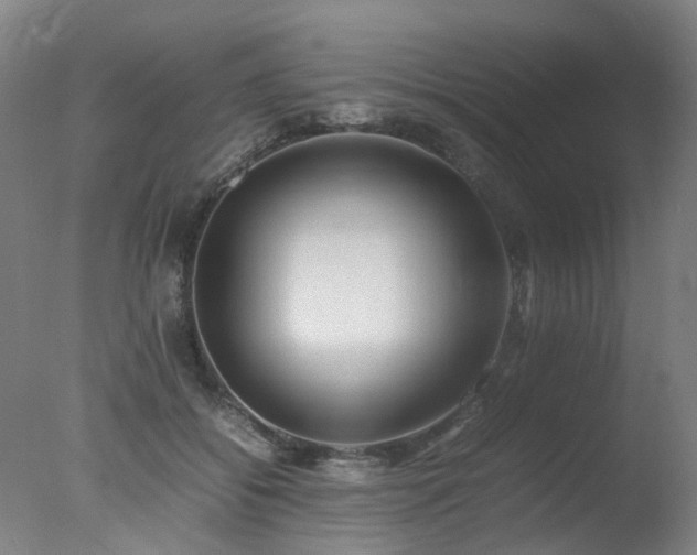 X0000078020556200610271237