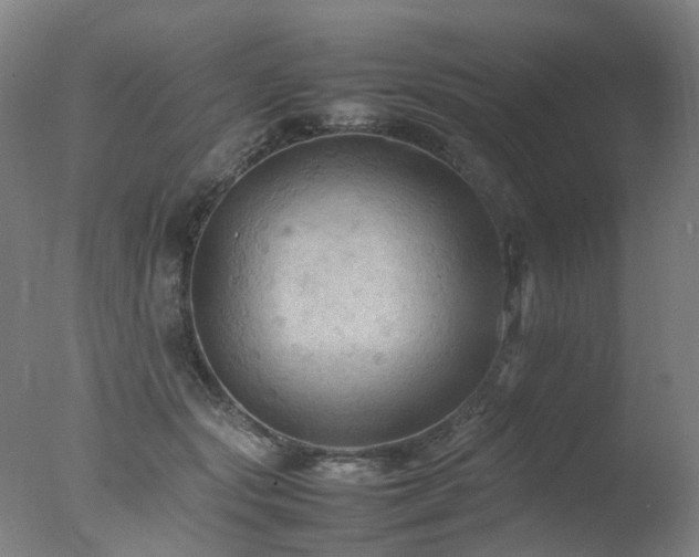 X0000078020557200610271237