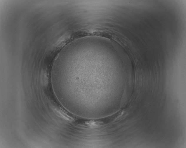 X0000078020558200610271237