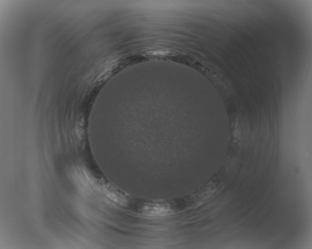 X0000078020559200610271237