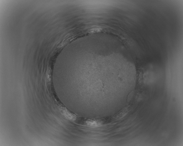 X0000078020561200610271237