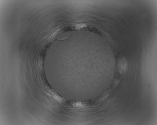 X0000078020565200610271237