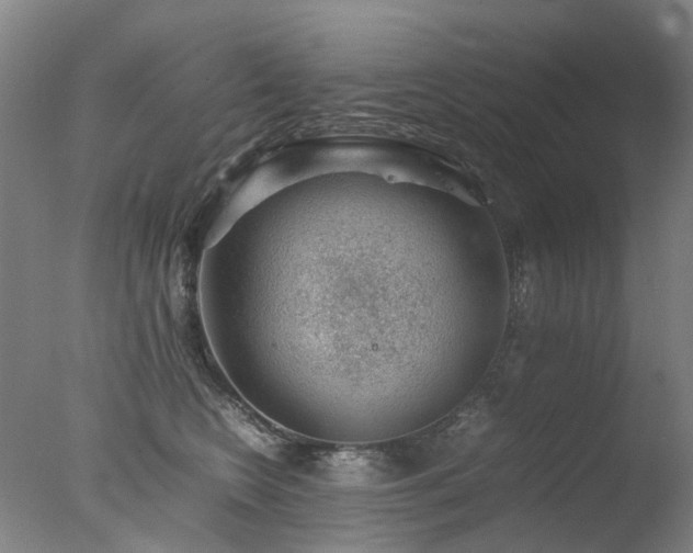 X0000078020566200610271237