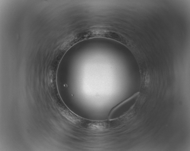 X0000078020567200610271237