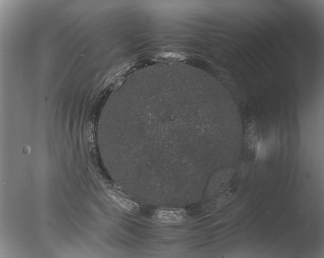 X0000078020571200610271237