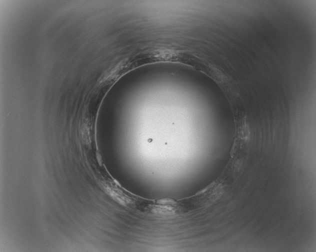 X0000078020572200610271237