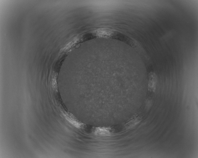 X0000078020573200610271237