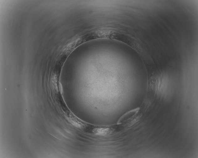 X0000078020575200610271237