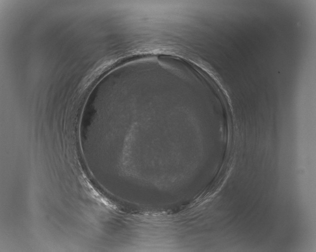 X0000078020577200610271236