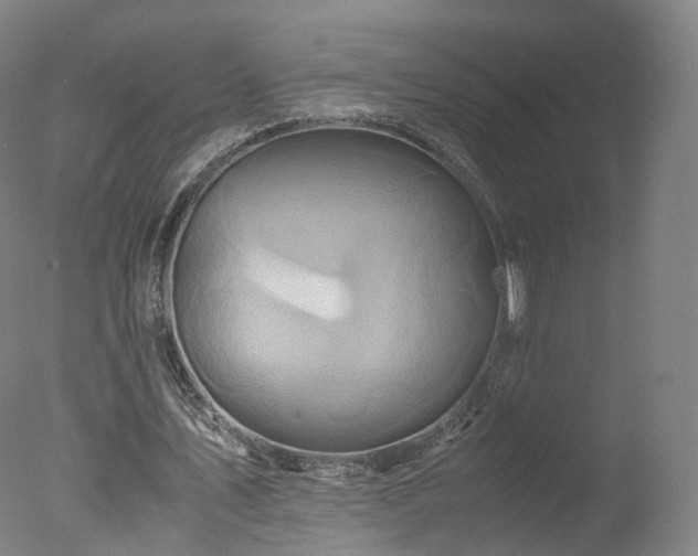 X0000078020579200610271236