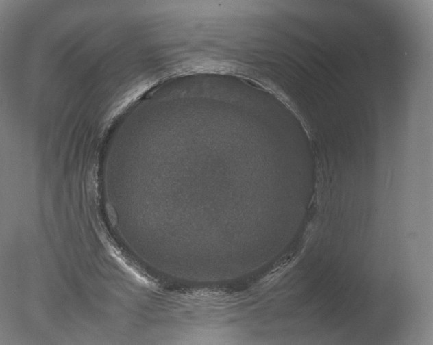 X0000078020581200610271236