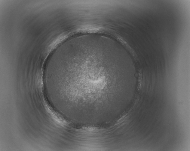 X0000078020582200610271236