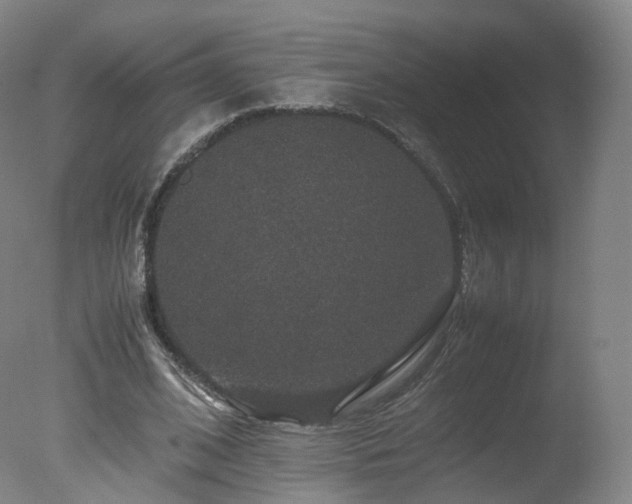 X0000078020584200610271236