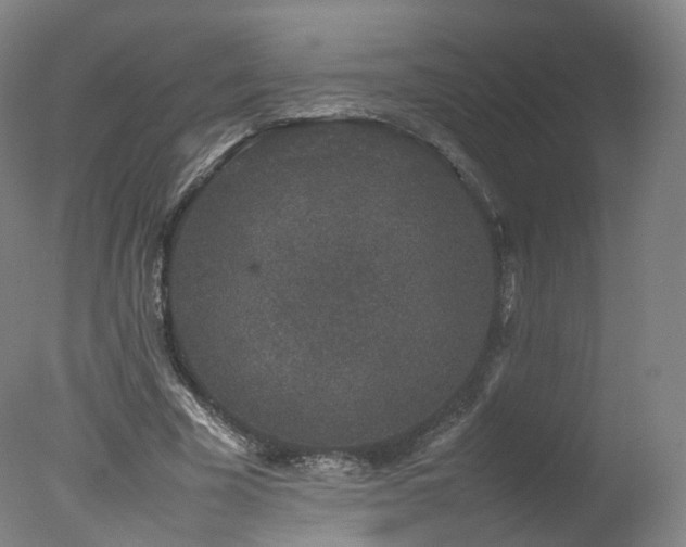 X0000078020585200610271236