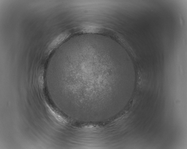 X0000078020586200610271236