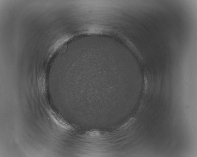 X0000078020588200610271236