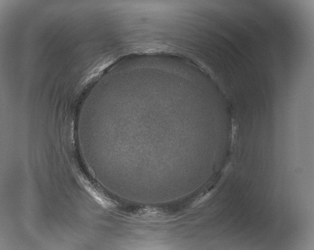 X0000078020589200610271236