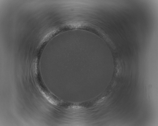 X0000078020590200610271236