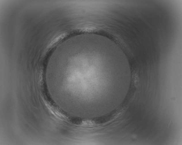 X0000078020591200610271236