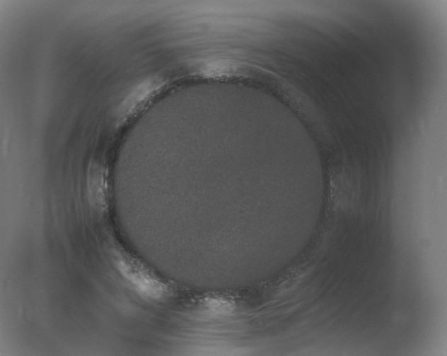 X0000078020592200610271236