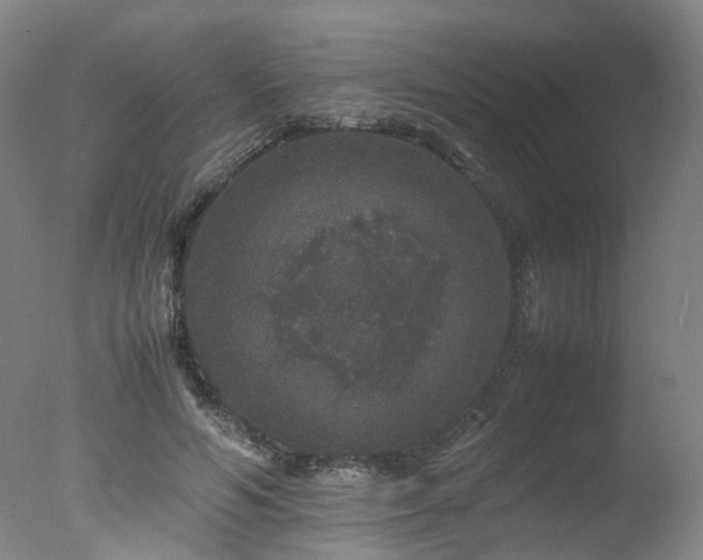 X0000078020594200610271236