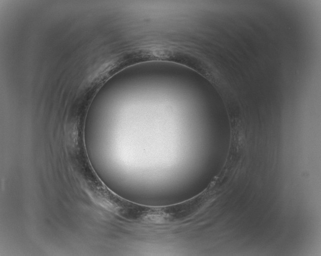 X0000078020595200610271236