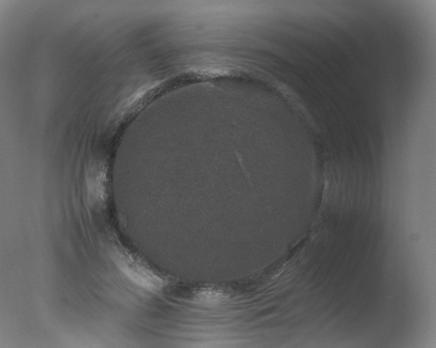 X0000078020596200610271236