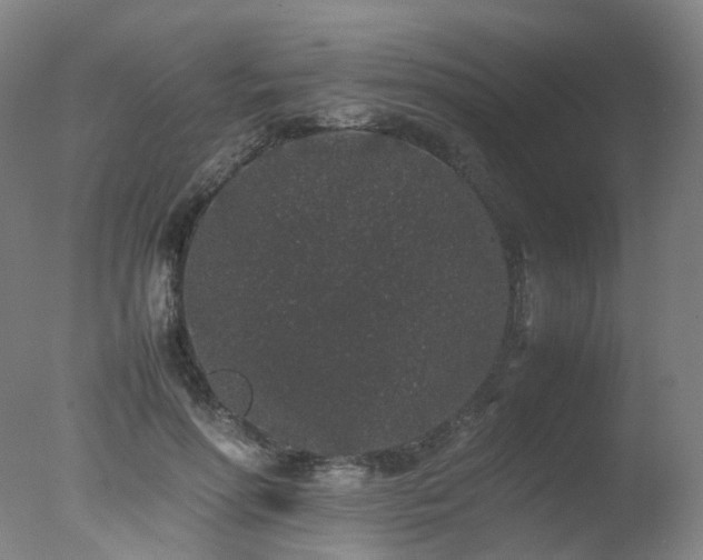 X0000078020598200610271236